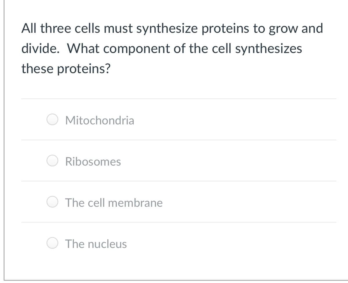 All three cells must synthesize proteins to grow and
divide. What component of the cell synthesizes
these proteins?
Mitochondria
Ribosomes
The cell membrane
O The nucleus
