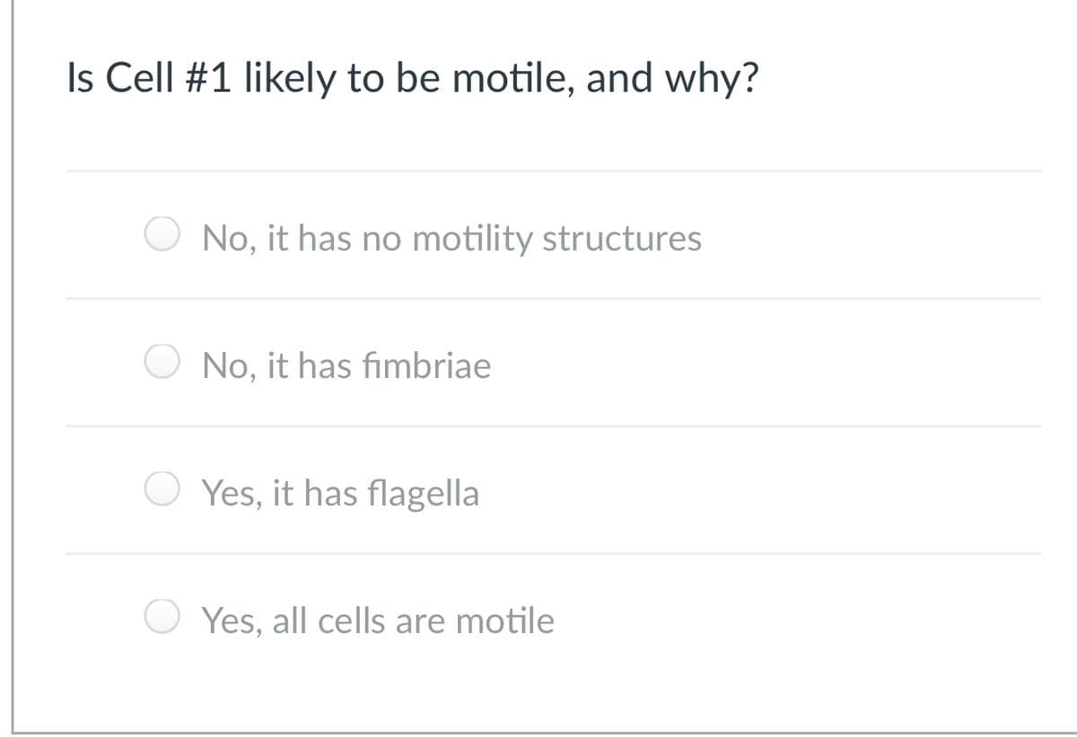 Is Cell #1 likely to be motile, and why?
No, it has no motility structures
No, it has fimbriae
Yes, it has flagella
Yes, all cells are motile
