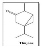 Thujone
