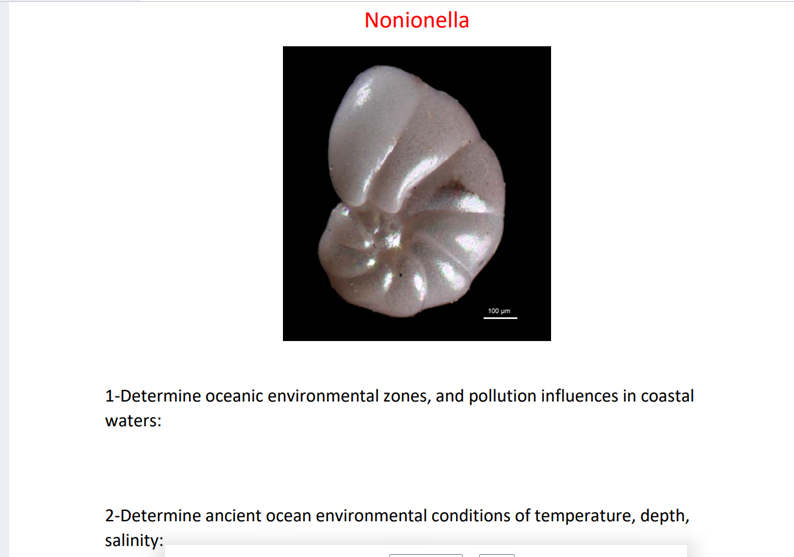 Nonionella
100 um
1-Determine oceanic environmental zones, and pollution influences in coastal
waters:
2-Determine ancient ocean environmental conditions of temperature, depth,
salinity:
