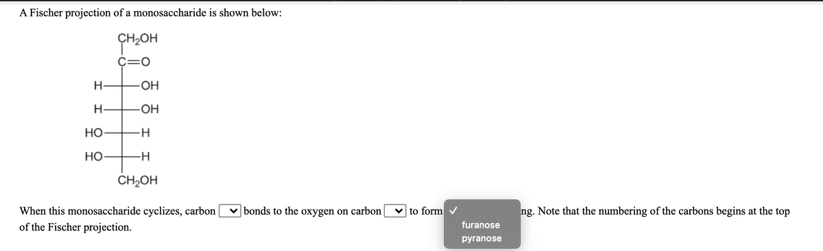 A Fischer projection of a monosaccharide is shown below:
ÇH2OH
C=0
H-
OH
H-
HO-
Но
H-
HO
-H
CH2OH
When this monosaccharide cyclizes, carbon
v bonds to the oxygen on carbon
v to form
ng. Note that the numbering of the carbons begins at the top
of the Fischer projection.
furanose
pyranose
