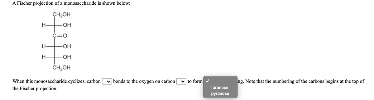 A Fischer projection of a monosaccharide is shown below:
CH2OH
H-
C=0
H-
OH
H-
HO-
CH2OH
When this monosaccharide cyclizes, carbon
v bonds to the oxygen on carbon
v to form v
ng. Note that the numbering of the carbons begins at the top of
the Fischer projection.
furanose
pyranose
