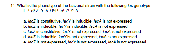 11. What is the phenotype of the bacterial strain with the following lac genotype:
IPOʻZ* Y A/P P* o* Z* Y* A
a. lacZ is constitutive, lacY is inducible, lacA is not expressed
b. lacZ is inducible, lacY is inducible, lacA is not expressed
c. lacZ is constitutive, lacY is not expressed, lacA is not expressed
d. lacz is inducible, lacY is not expressed, lacA is not expressed
e. lacZ is not expressed, lacY is not expressed, lacA is not expressed
