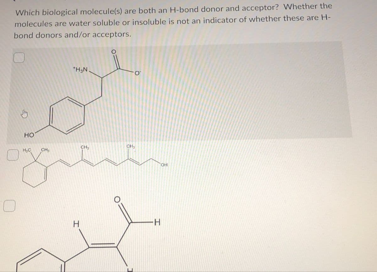 Which biological molecule(s) are both an H-bond donor and acceptor? Whether the
molecules are water soluble or insoluble is not an indicator of whether these are H-
bond donors and/or acceptors.
HO
H.C
*H3N.
Ο
CH₂
CH₂
CH
H
H
СОН