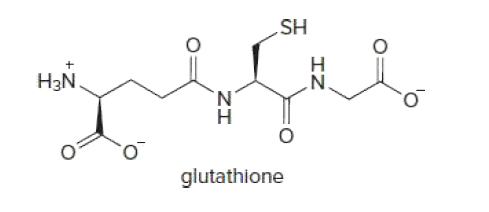 HS
H3N.
N.
glutathione
IZ
