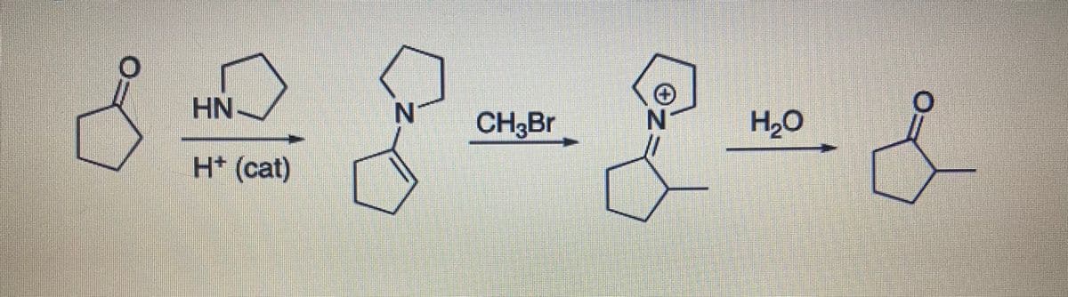 HN-
CH3BR
N-
H,0
H* (cat)
N.
