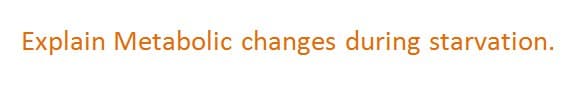 Explain Metabolic changes during starvation.