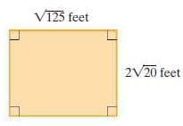 V125 feet
2V20 feet
