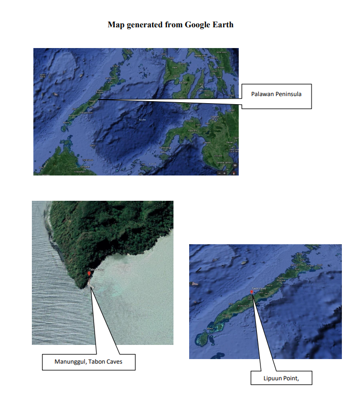 Map generated from Google Earth
Palawan Peninsula
Manunggul, Tabon Caves
Lipuun Point,
