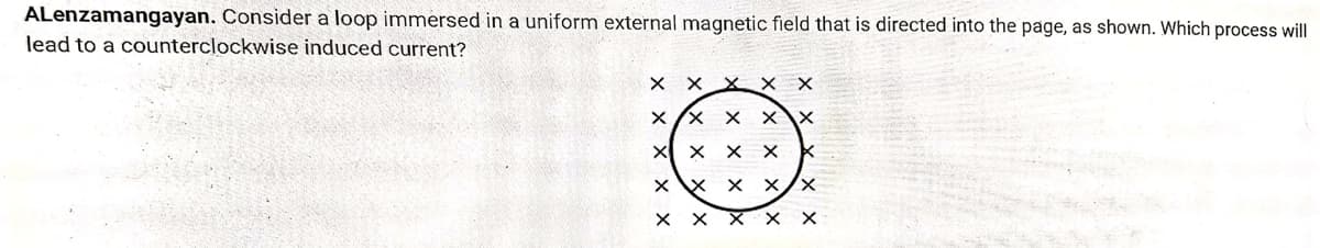 ALenzamangayan. Consider a loop immersed in a uniform external magnetic field that is directed into the page, as shown. Which process will
lead to a counterclockwise induced current?
X X X X X
XX X X
X X XX
X X X X
x \x
x
X X X
х
X
X
X