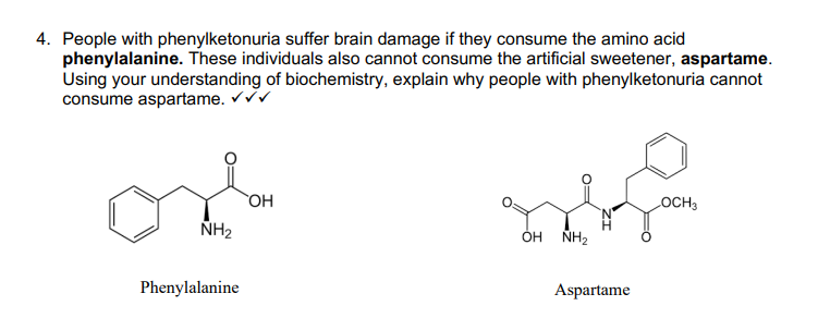 4. People with phenylketonuria suffer brain damage if they consume the amino acid
phenylalanine. These individuals also cannot consume the artificial sweetener, aspartame.
Using your understanding of biochemistry, explain why people with phenylketonuria cannot
consume aspartame. ✓✓✓
or
OH
NH₂
Phenylalanine
OH NH₂
Aspartame
LOCH3