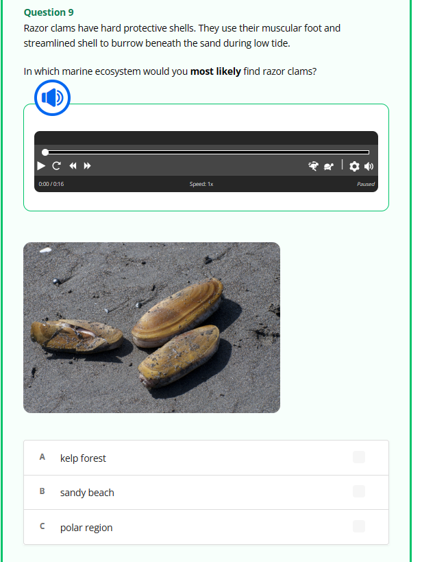 Question 9
Razor clams have hard protective shells. They use their muscular foot and
streamlined shell to burrow beneath the sand during low tide.
In which marine ecosystem would you most likely find razor clams?
0:00/0:16
A
B
C «»
с
kelp forest
sandy beach
polar region
Speed: 1x
| ✿
Paused