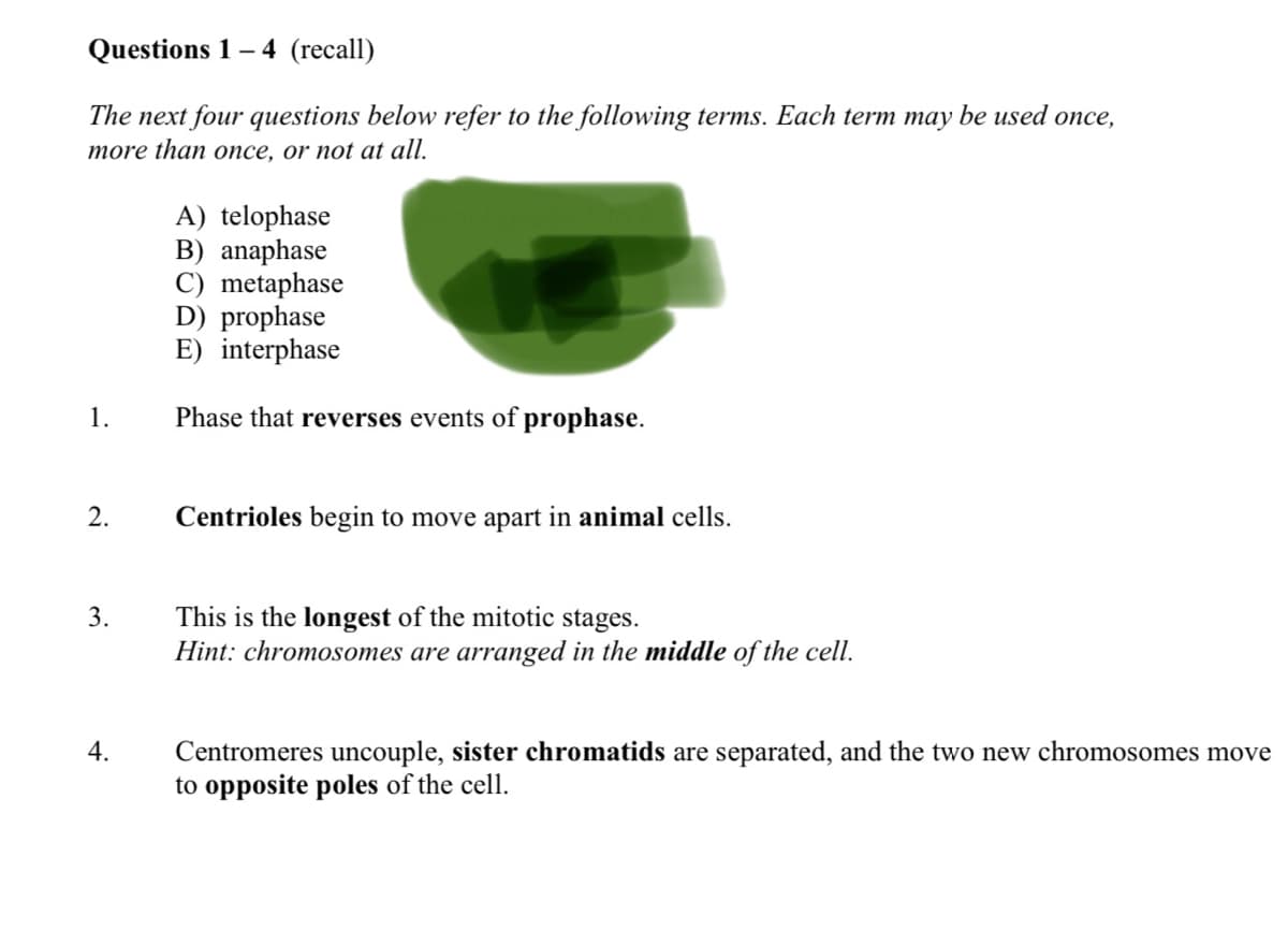 Questions 1– 4 (recall)
The next four questions below refer to the following terms. Each term may be used once,
more than once, or not at all.
A) telophase
B) anaphase
C) metaphase
D) prophase
E) interphase
1.
Phase that reverses events of prophase.
2.
Centrioles begin to move apart in animal cells.
This is the longest of the mitotic stages.
Hint: chromosomes are arranged in the middle of the cell.
3.
4.
Centromeres uncouple, sister chromatids are separated, and the two new chromosomes move
to opposite poles of the cell.
