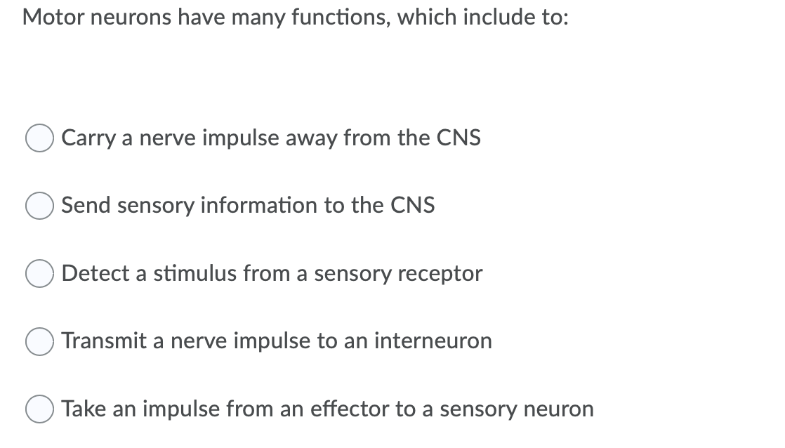 Motor neurons have many functions, which include to:
Carry a nerve impulse away from the CNS
Send sensory information to the CNS
Detect a stimulus from a sensory receptor
Transmit a nerve impulse to an interneuron
Take an impulse from an effector to a sensory neuron
