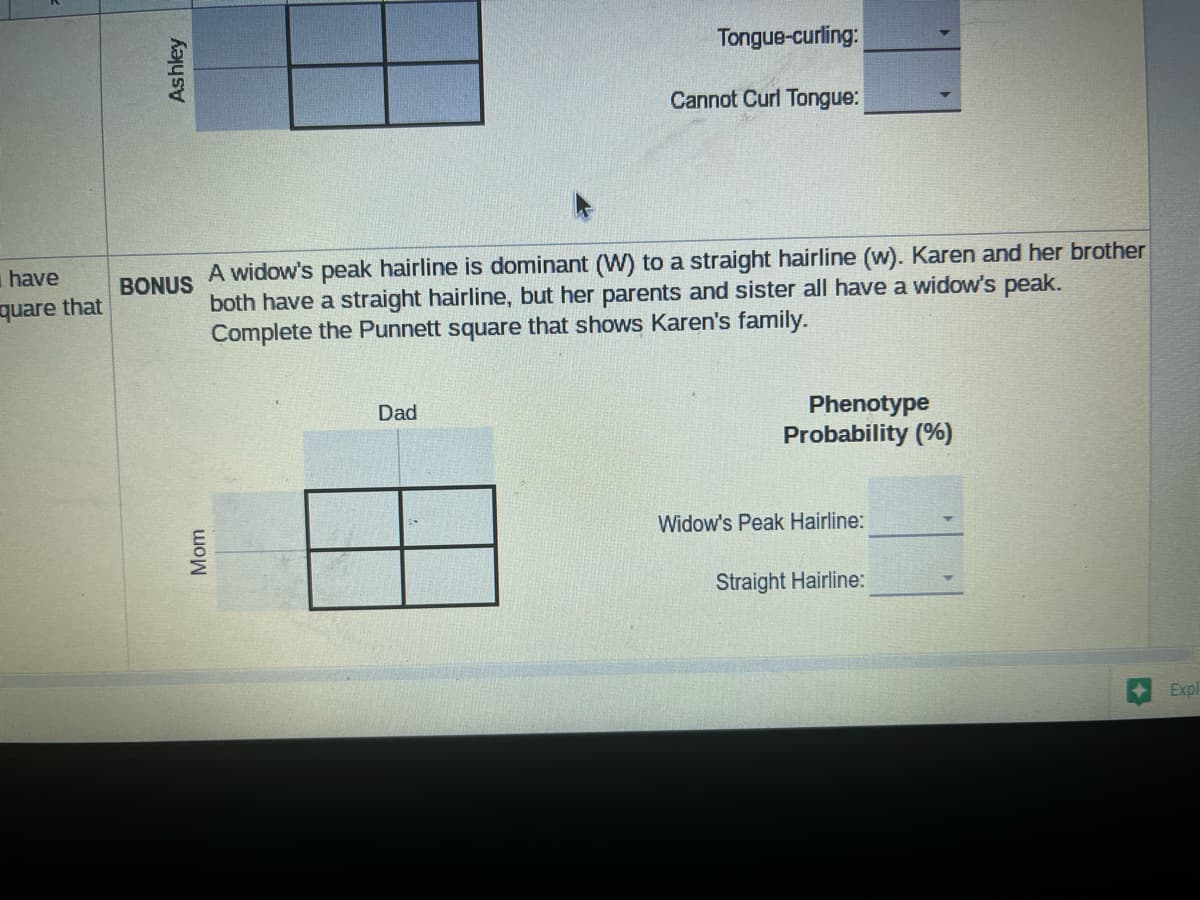 have
quare that
Ashley
BONUS
Mom
Tongue-curling:
Dad
Cannot Curl Tongue:
A widow's peak hairline is dominant (W) to a straight hairline (w). Karen and her brother
both have a straight hairline, but her parents and sister all have a widow's peak.
Complete the Punnett square that shows Karen's family.
Phenotype
Probability (%)
Widow's Peak Hairline:
Straight Hairline:
Expl