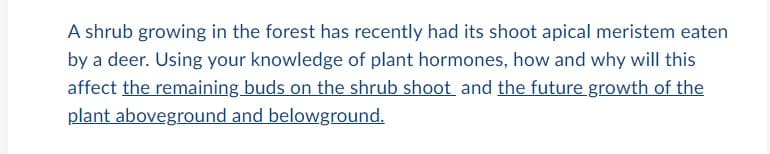 A shrub growing in the forest has recently had its shoot apical meristem eaten
by a deer. Using your knowledge of plant hormones, how and why will this
affect the remaining buds on the shrub shoot and the future growth of the
plant aboveground and belowground.
