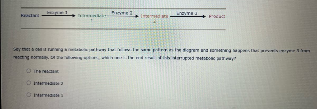 Reactant
Enzyme 1
The reactant
Intermediate 2
Intermediate
1
O Intermediate 1
Enzyme 2
Intermediate
Say that a cell is running a metabolic pathway that follows the same pattern as the diagram and something happens that prevents enzyme 3 from
reacting normally. Of the following options, which one is the end result of this interrupted metabolic pathway?
Enzyme 3
➜ Product