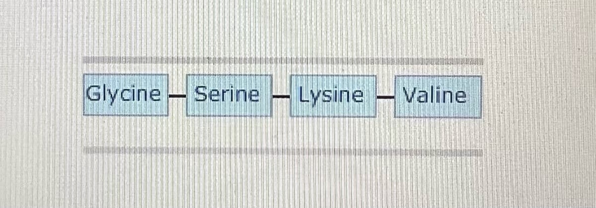 Glycine Serine Lysine
Valine