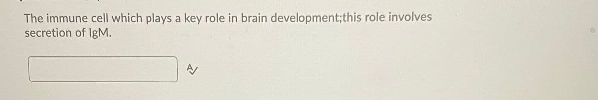 The immune cell which plays a key role in brain development;this role involves
secretion of IgM.
