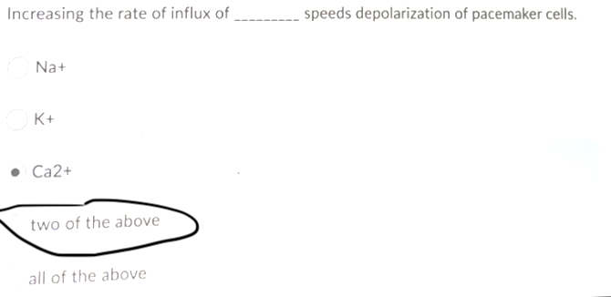 Increasing the rate of influx of
speeds depolarization of pacemaker cells.
Na+
K+
Ca2+
two of the above
all of the above
