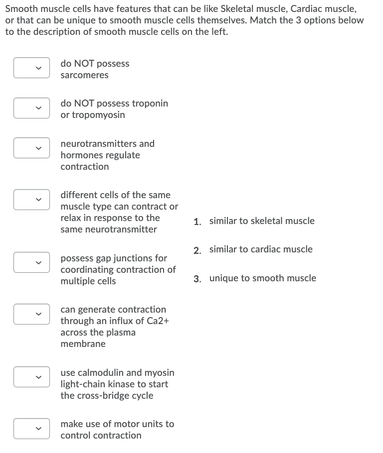 Smooth muscle cells have features that can be like Skeletal muscle, Cardiac muscle,
or that can be unique to smooth muscle cells themselves. Match the 3 options below
to the description of smooth muscle cells on the left.
do NOT possess
sarcomeres
do NOT possess troponin
or tropomyosin
neurotransmitters and
hormones regulate
contraction
different cells of the same
muscle type can contract or
relax in response to the
1. similar to skeletal muscle
same neurotransmitter
2. similar to cardiac muscle
possess gap junctions for
coordinating contraction of
multiple cells
3. unique to smooth muscle
can generate contraction
through an influx of Ca2+
across the plasma
membrane
use calmodulin and myosin
light-chain kinase to start
the cross-bridge cycle
make use of motor units to
control contraction
>
