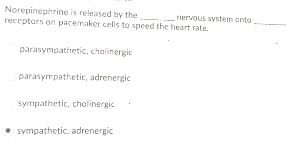 Norepinephrine is released by the ,
receptors on pacemaker cells to speed the heart rate.
nervous system onto
parasympathetic, cholinergic
parasympathetic, adrenergic
sympathetic, cholinergic
• sympathetic, adrenergic
