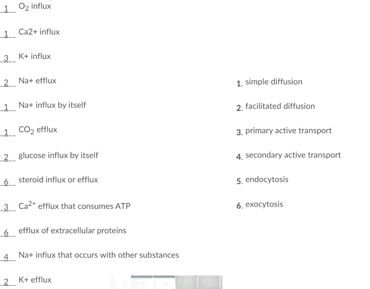 1 O2 influx
_1 Ca2+ influx
3 K+ influx
2 Na+ efflux
1. simple diffusion
_1.
Na+ influx by itself
2. facilitated diffusion
1 CO2 efflux
3. primary active transport
2 glucose influx by itself
4. secondary active transport
6 steroid influx or efflux
5. endocytosis
3 Ca2+ efflux that consumes ATP
6. eхосytosis
6 efflux of extracellular proteins
4 Na+ influx that occurs with other substances
2 K+ efflux
