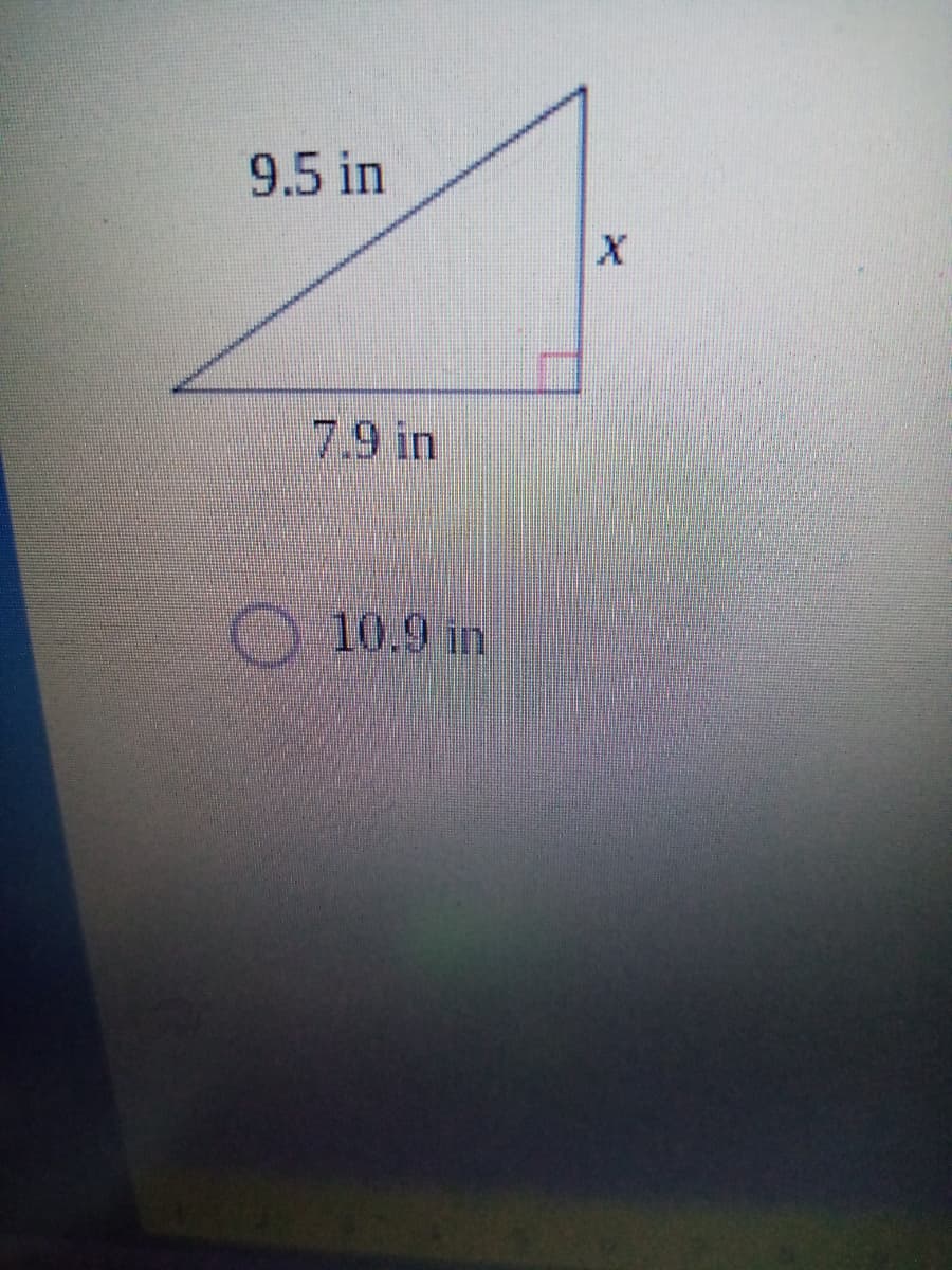 9.5 in
79 in
10.9 in
