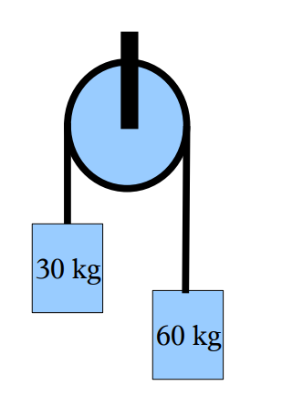 30 kg
60 kg
