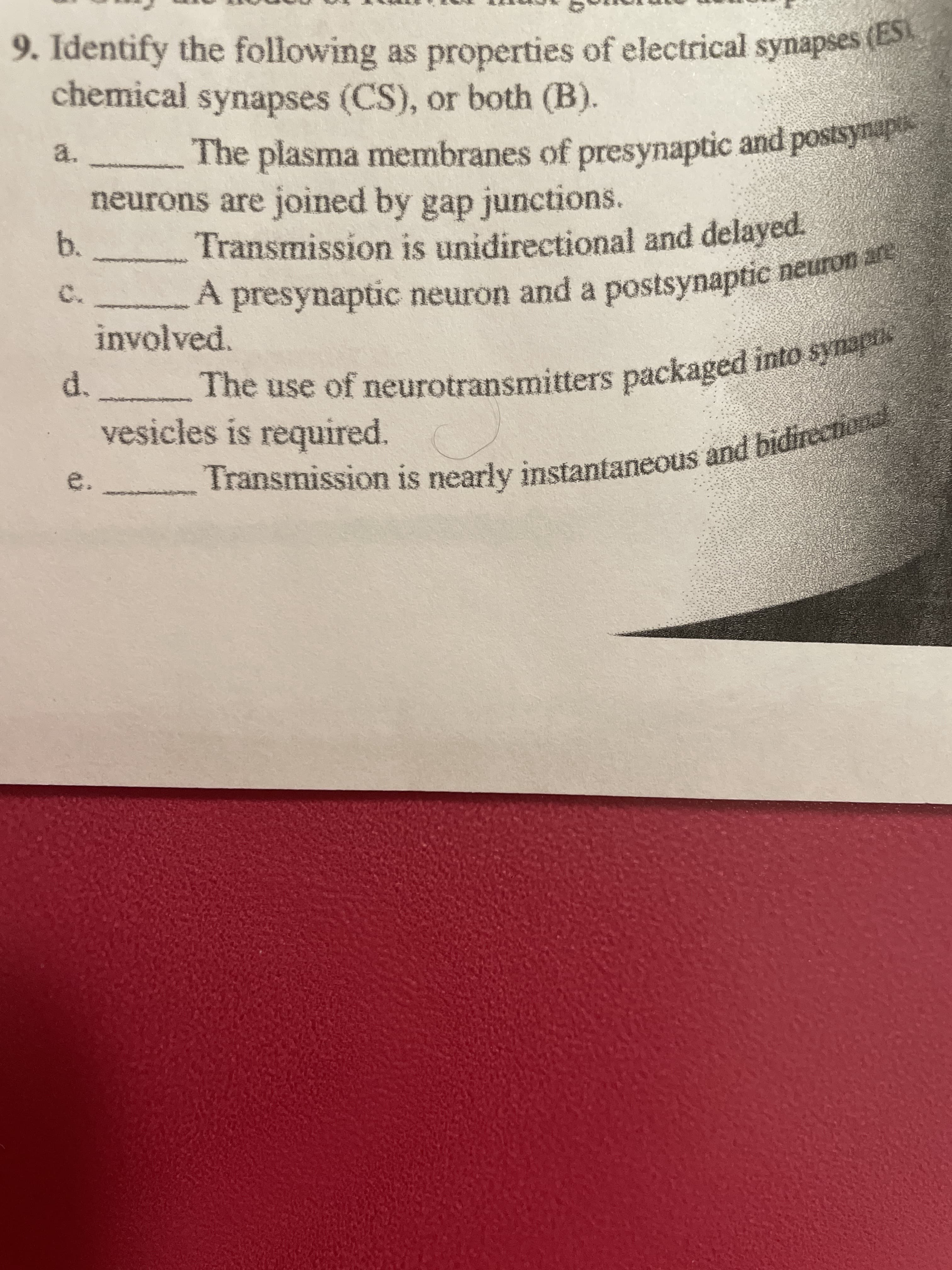 Transmission is and bidirectional
The use of synaptic
9. Identify the following as properties of electrical synapses (
chemical synapses (CS), or both (B).
a.
neurons are joined by gap junctions.
Transmission is unidirectional and delayed.
b.
A presynaptic neuron and a postsynaptic neron
involved.
d.
vesicles is required.
The use of neurotransmitters packaged into 5y
e.
Transmission is nearly instantaneous and bidit
