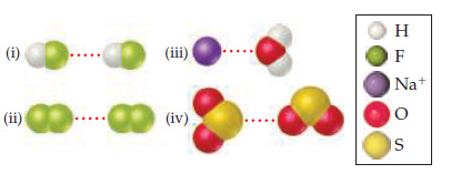 (i)
(iii)
Н
Na+
(i)
(iv).
