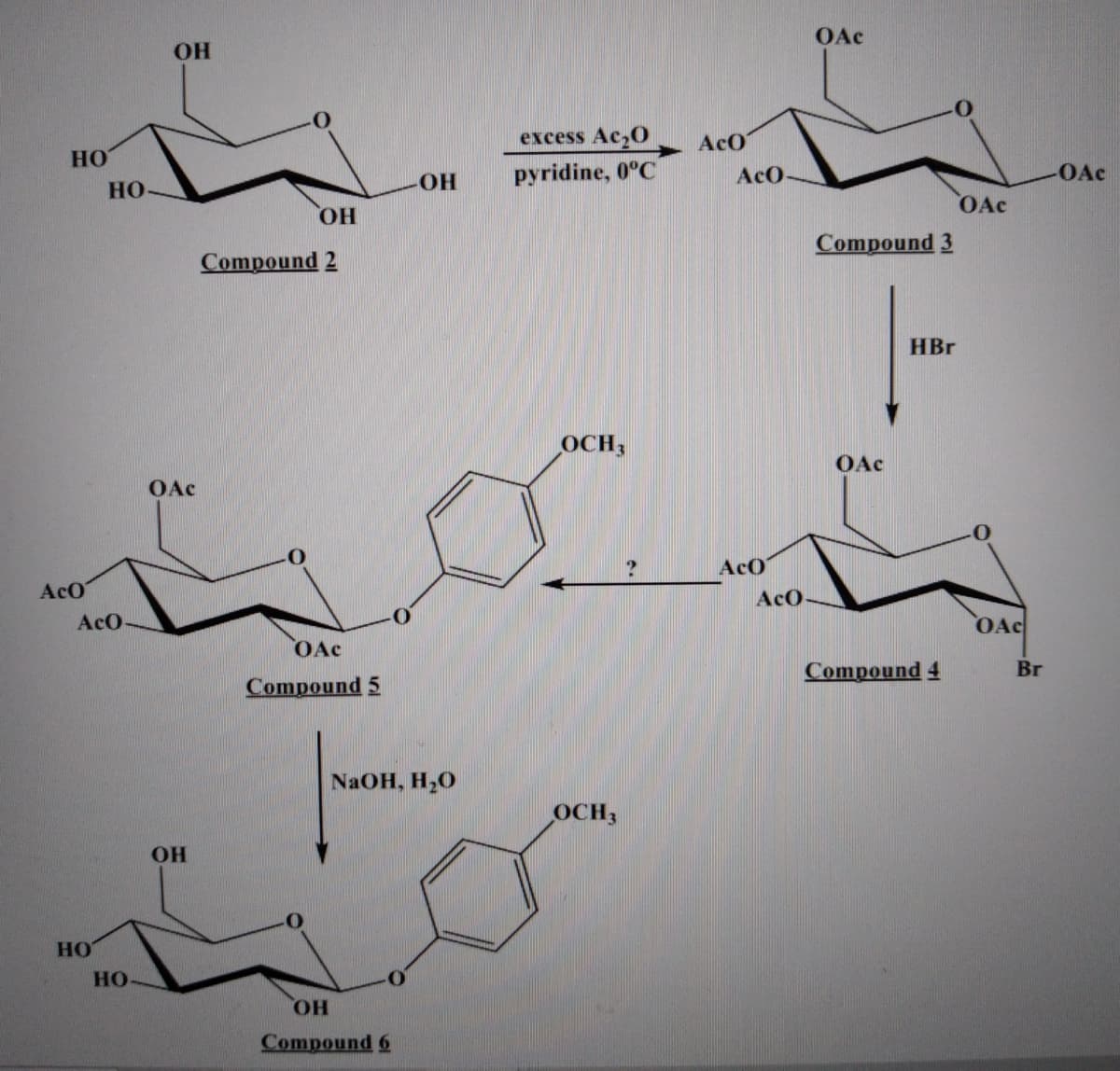 OAc
OH
excess Ac,O
AcO
HO
pyridine, 0°C
-OAc
AcO-
НО
OAc
HO
Compound 3
Compound 2
HBr
OCH3
OAc
OAc
AcO
AcO
AcO-
AcO
OAc
OAc
Compound 4
Br
Compound 5
NaOH, H20
OCH3
OH
HO
HO
HO.
Compound 6
