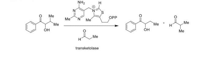 NH2
N'
Me
Me
N.
Me
OPP
Me
Me
он
Me
Он
Me
Me
transketolase
