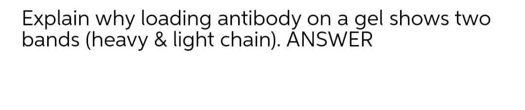 Explain why loading antibody on a gel shows two
bands (heavy & light chain). ÁNSWER
