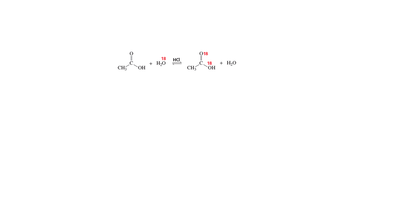 O18
18
HCI
C.
С. 18
ОН
+ H,0
+ H,0
CH
OH
CH,
