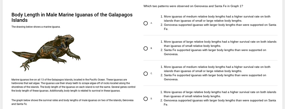 Body Length in Male Marine Iguanas of the Galapagos
Islands
The drawing below shows a marine iguana.
Marine iguanas live on all 13 of the Galapagos Islands, located in the Pacific Ocean. These iguanas are
herbivores that eat algae. The iguanas use their sharp teeth to scrape algae off of rocks located along the
shorelines of the islands. The body length of the iguanas on each island is not the same. Several genes control
the body length of these iguanas. Additionally, body length is related to survival in these iguanas.
The graph below shows the survival rates and body lengths of male iguanas on two of the islands, Genovesa
and Santa Fe.
Which two patterns were observed on Genovesa and Santa Fe in Graph 1?
OB.
D
1. More iguanas of medium relative body lengths had a higher survival rate on both
islands than iguanas of small or large relative body lengths.
2. Genovesa supported iguanas with larger body lengths than were supported on Santa
Fe.
1. More iguanas of large relative body lengths had a higher survival rate on both islands
than iguanas of small relative body lengths.
2. Santa Fe supported iguanas with larger body lengths than were supported on
Genovesa.
1. More iguanas of medium relative body lengths had a higher survival rate on both
islands than iguanas of small or large relative body lengths.
2. Santa Fe supported iguanas with larger body lengths than were supported on
Genovesa.
1. More iguanas of large relative body lengths had a higher survival rate on both islands
than iguanas
relative body lengths.
2. Genovesa supported iguanas with larger body lengths than were supported on Santa
Fe.