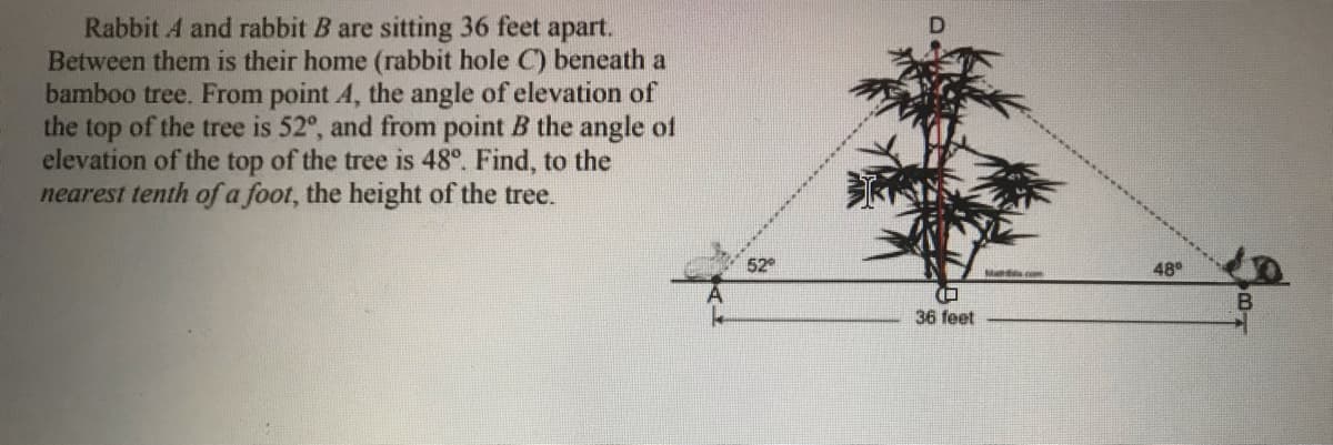 Rabbit A and rabbit B are sitting 36 feet apart.
Between them is their home (rabbit hole C) beneath a
bamboo tree. From point A, the angle of elevation of
the top of the tree is 52°, and from point B the angle of
elevation of the top of the tree is 48°. Find, to the
nearest tenth of a foot, the height of the tree.
52
48°
Mancom
36 feet
