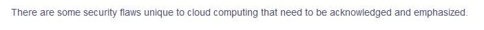 There are some security flaws unique to cloud computing that need to be acknowledged and emphasized.