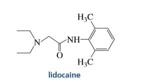 НаС
NH-
Н,С
lidocaine
