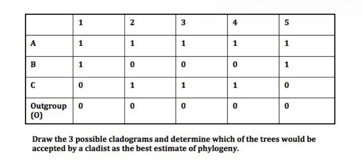 2
3
A
1
1
1
1
1
1
1
1
1
1
Outgroup
(0)
Draw the 3 possible cladograms and determine which of the trees would be
accepted by a cladist as the best estimate of phylogeny.
