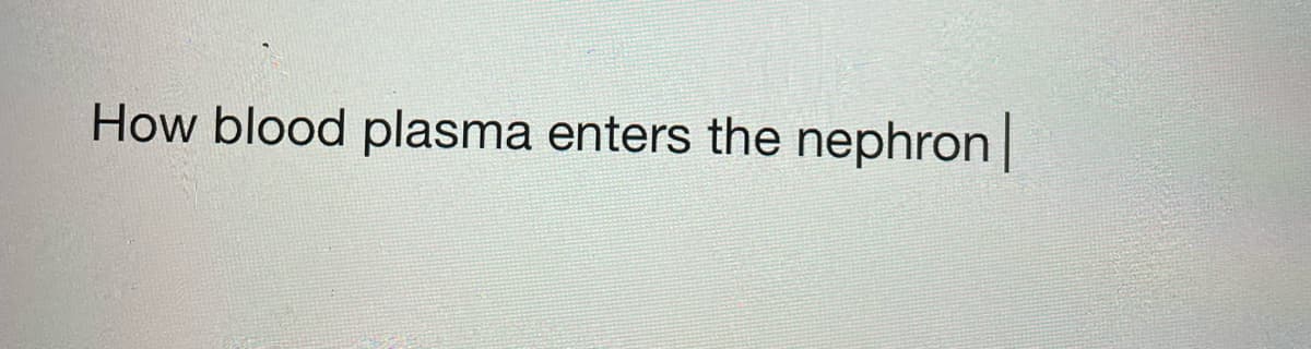 How blood plasma enters the nephron|
