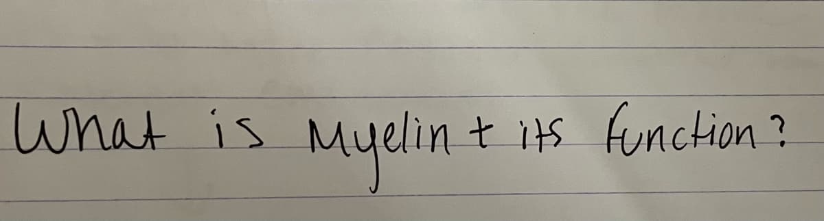 What is
Myelin + its function?
