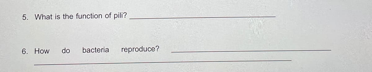 5. What is the function of pili?
6. How
do
bacteria
reproduce?
