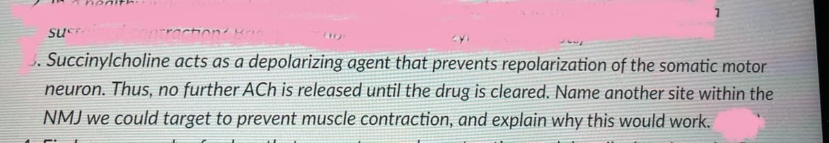 3. Succinylcholine acts as a depolarizing agent that prevents repolarization of the somatic motor
neuron. Thus, no further ACh is released until the drug is cleared. Name another site within the
NMJ we could target to prevent muscle contraction, and explain why this would work.
