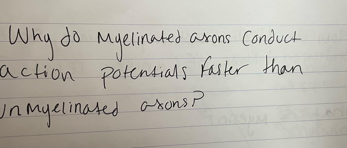 Wng
Why do
elinated asons Conduct
action potentials Faster than
asons P
unmyelinated
