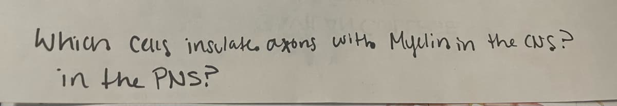 Which cuis insulate. axons with Myelin in the CNS?
in the PNS?
