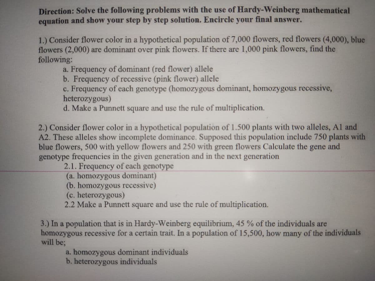 Direction: Solve the following problems with the use of Hardy-Weinberg mathematical
equation and show your step by step solution. Encircle your final answer.
1.) Consider flower color in a hypothetical population of 7,000 flowers, red flowers (4,000), blue
flowers (2,000) are dominant over pink flowers. If there are 1,000 pink flowers, find the
following:
a. Frequency of dominant (red flower) allele
b. Frequency of recessive (pink flower) allele
c. Frequency of each genotype (homozygous dominant, homozygous recessive,
heterozygous)
d. Make a Punnett square and use the rule of multiplication.
2.) Consider flower color in a hypothetical population of 1.500 plants with two alleles, Al and
A2. These alleles show incomplete dominance. Supposed this population include 750 plants with
blue flowers, 500 with yellow flowers and 250 with green flowers Calculate the gene and
genotype frequencies in the given generation and in the next generation
2.1. Frequency of each genotype
(a. homozygous dominant)
(b. homozygous recessive)
(c. heterozygous)
2.2 Make a Punnett square and use the rule of multiplication.
3.) In a population that is in Hardy-Weinberg equilibrium, 45 % of the individuals are
homozygous recessive for a certain trait. In a population of 15,500, how many of the individuals
will be;
a. homozygous dominant individuals
b. heterozygous individuals
