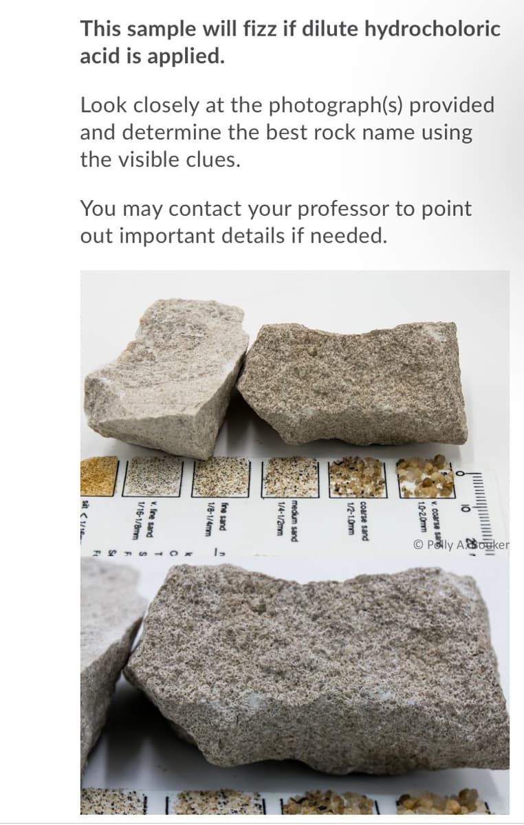 This sample will fizz if dilute hydrocholoric
acid is applied.
Look closely at the photograph(s) provided
and determine the best rock name using
the visible clues.
You may contact your professor to point
out important details if needed.
© Polly ABouker
