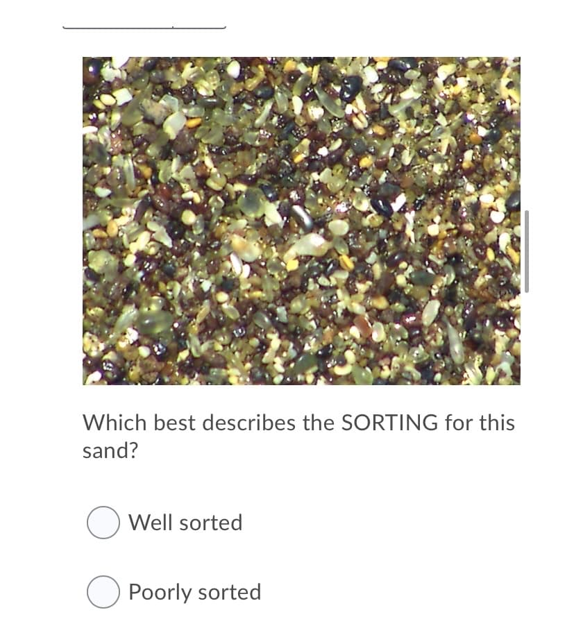 Which best describes the SORTING for this
sand?
O Well sorted
O Poorly sorted
