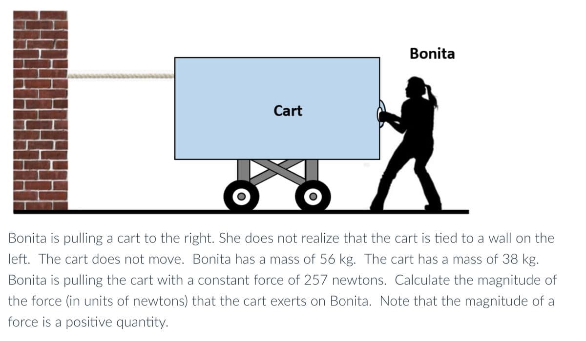 Bonita
Cart
Bonita is pulling a cart to the right. She does not realize that the cart is tied to a wall on the
left. The cart does not move. Bonita has a mass of 56 kg. The cart has a mass of 38 kg.
Bonita is pulling the cart with a constant force of 257 newtons. Calculate the magnitude of
the force (in units of newtons) that the cart exerts on Bonita. Note that the magnitude of a
force is a positive quantity.
